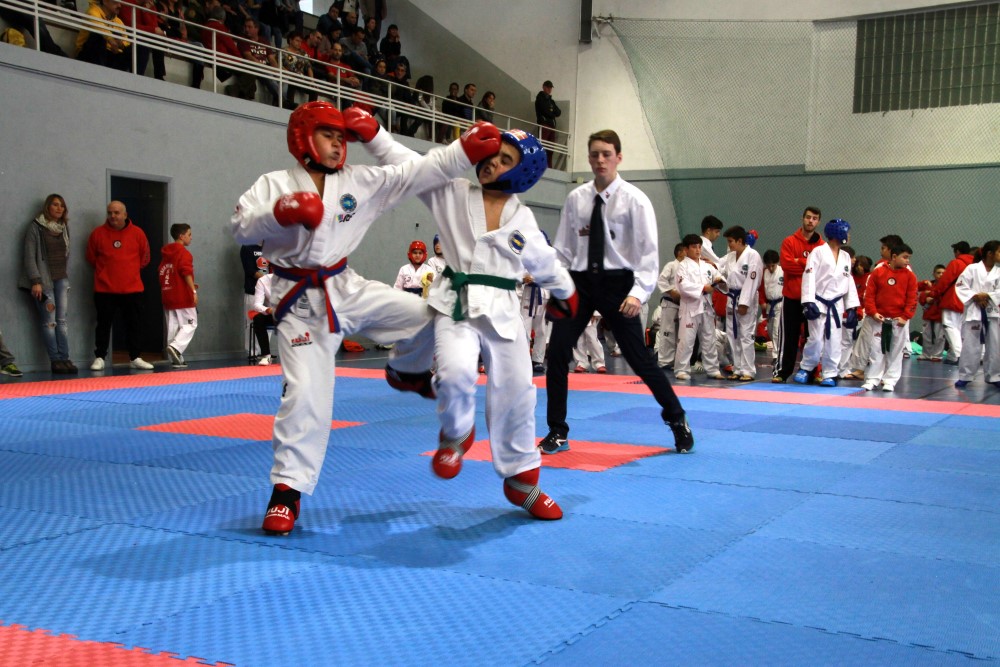 III Copa Seúl (102).jpg